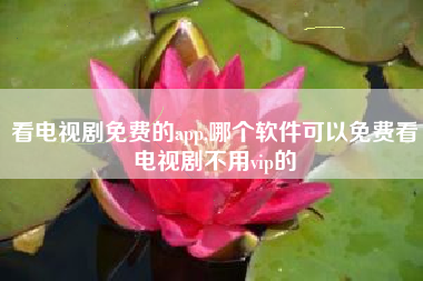 看电视剧免费的app,哪个软件可以免费看电视剧不用vip的