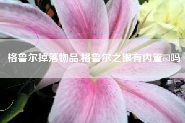 格鲁尔掉落物品,格鲁尔之眼有内置cd吗