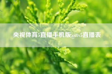 央视体育5直播手机版,cctv5直播表