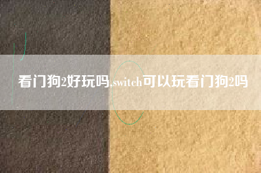 看门狗2好玩吗,switch可以玩看门狗2吗