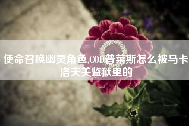 使命召唤幽灵角色,COD普莱斯怎么被马卡洛夫关监狱里的