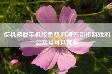 街机游戏手机版免费,有没有街机游戏的公众号可以推荐