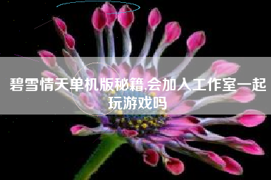 碧雪情天单机版秘籍,会加入工作室一起玩游戏吗