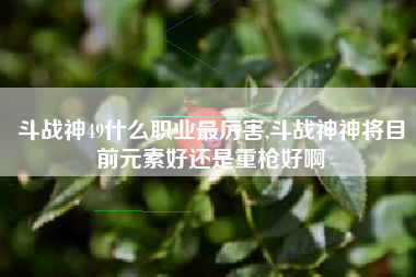 斗战神49什么职业最厉害,斗战神神将目前元素好还是重枪好啊