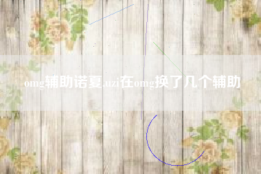 omg辅助诺夏,uzi在omg换了几个辅助