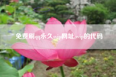 免费刷qq永久svip网址,svip的代码