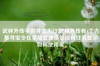 武林外传手游寻宝天行,武林外传有4个古墓寻宝令在皇陵管理员处没有任务显示如何使用呢