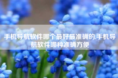 手机导航软件哪个最好最准确的,手机导航软件哪种准确方便