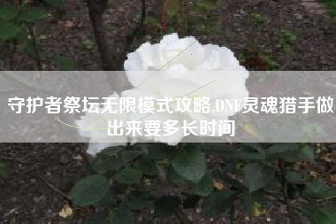 守护者祭坛无限模式攻略,DNF灵魂猎手做出来要多长时间