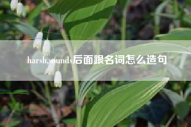 harsh,sounds后面跟名词怎么造句