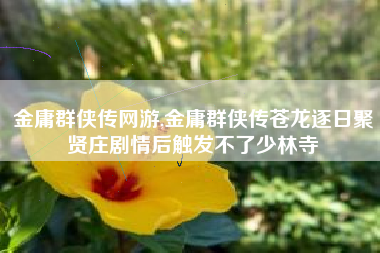 金庸群侠传网游,金庸群侠传苍龙逐日聚贤庄剧情后触发不了少林寺