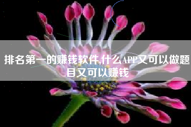 排名第一的赚钱软件,什么APP又可以做题目又可以赚钱