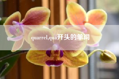 quarrel,qua开头的单词