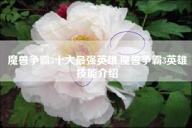 魔兽争霸3十大最强英雄,魔兽争霸3英雄技能介绍