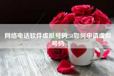 网络电话软件虚拟号码,58如何申请虚拟号码
