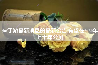dnf手游最新消息的最新公告,有望在2020年上半年公测