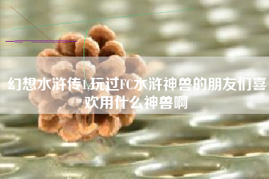 幻想水浒传1,玩过FC水浒神兽的朋友们喜欢用什么神兽啊