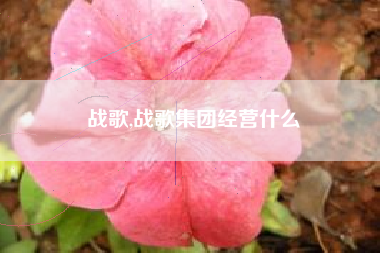战歌,战歌集团经营什么