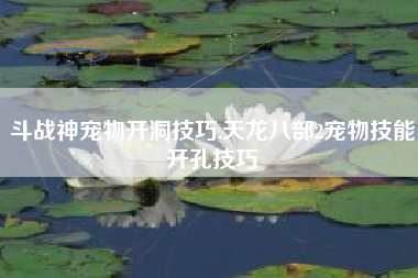 斗战神宠物开洞技巧,天龙八部2宠物技能开孔技巧