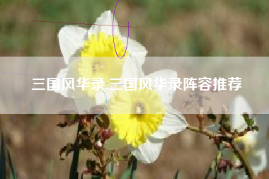 三国风华录,三国风华录阵容推荐