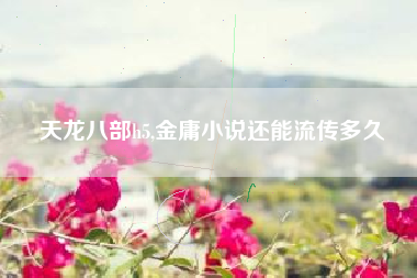 天龙八部h5,金庸小说还能流传多久