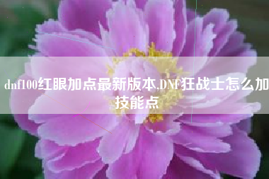 dnf100红眼加点最新版本,DNF狂战士怎么加技能点