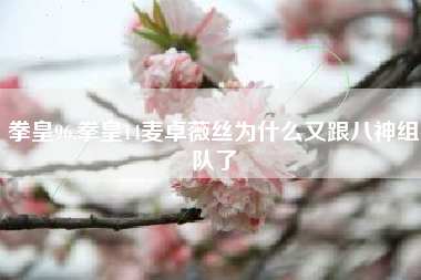 拳皇96,拳皇14麦卓薇丝为什么又跟八神组队了