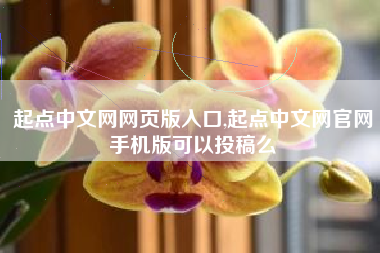 起点中文网网页版入口,起点中文网官网手机版可以投稿么