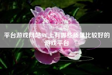 平台游戏网站,PC上有哪些质量比较好的游戏平台
