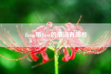 firm,带firm的单词有哪些