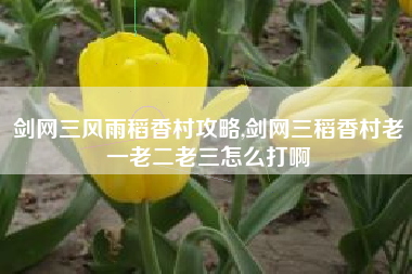 剑网三风雨稻香村攻略,剑网三稻香村老一老二老三怎么打啊