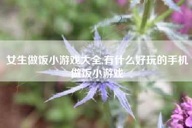 女生做饭小游戏大全,有什么好玩的手机做饭小游戏