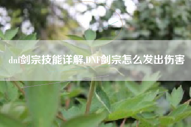 dnf剑宗技能详解,DNF剑宗怎么发出伤害