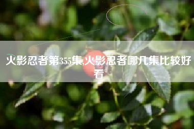 火影忍者第355集,火影忍者哪几集比较好看