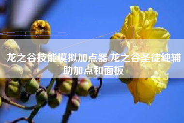 龙之谷技能模拟加点器,龙之谷圣徒纯辅助加点和面板