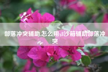 部落冲突辅助,怎么用x8沙箱辅助部落冲突