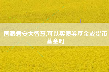 国泰君安大智慧,可以买债券基金或货币基金吗