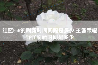 红蓝buff的刷新时间间隔是多少,王者荣耀野怪刷新时间是多少