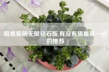 暗黑黎明无限钻石版,有没有质量高一点的推荐