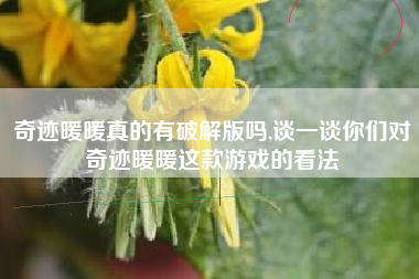 奇迹暖暖真的有破解版吗,谈一谈你们对奇迹暖暖这款游戏的看法