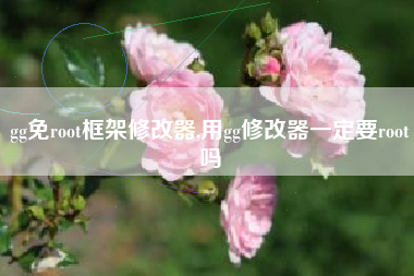 gg免root框架修改器,用gg修改器一定要root吗