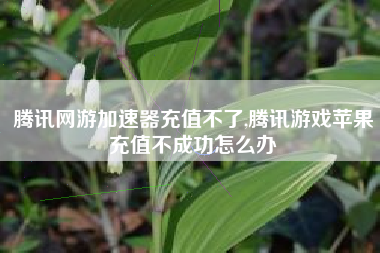 腾讯网游加速器充值不了,腾讯游戏苹果充值不成功怎么办