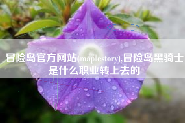 冒险岛官方网站(maplestory),冒险岛黑骑士是什么职业转上去的
