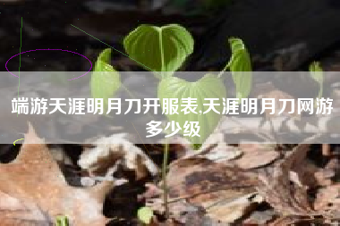 端游天涯明月刀开服表,天涯明月刀网游多少级