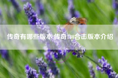 传奇有哪些版本,传奇180合击版本介绍