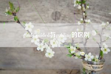 guide,guided与guiding的区别