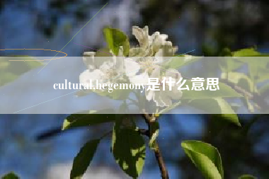 cultural,hegemony是什么意思