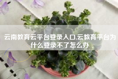 云南教育云平台登录入口,云教育平台为什么登录不了怎么办