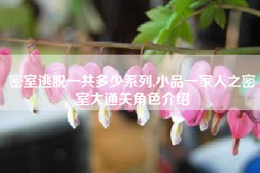 密室逃脱一共多少系列,小品一家人之密室大通关角色介绍