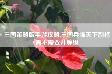 三国策略版手游攻略,三国兵临天下副将需不需要升等级